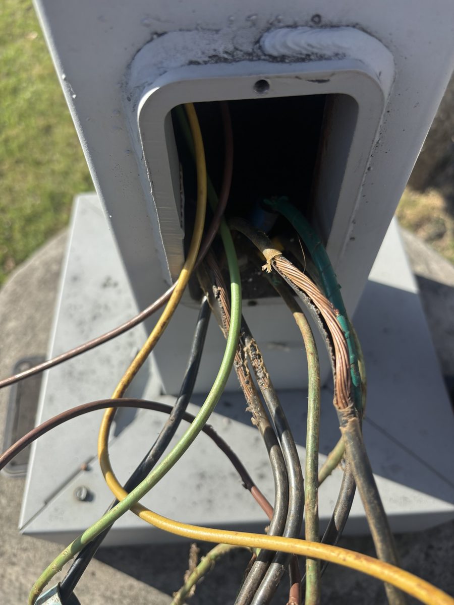 Chewed, stripped wiring pulled from the hand hole of a parking lot light pole